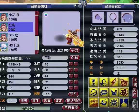 梦幻西游80级带什么宠物