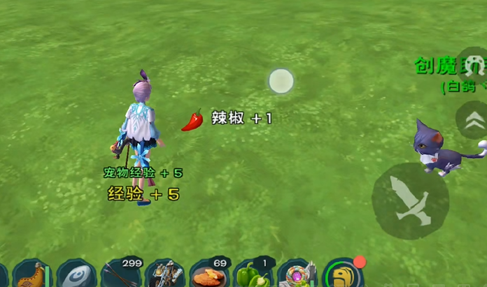 创造与魔法辣椒有什么用