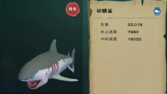 创造与魔法中幼鲸鲨在哪