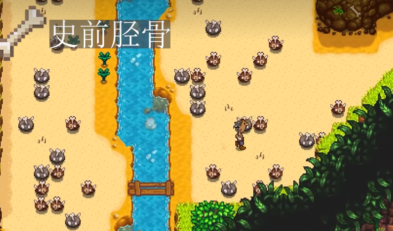 星露谷物语蜗牛博士任务怎么过