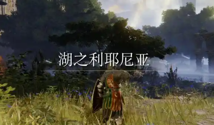 艾尔登法环70级去哪练级