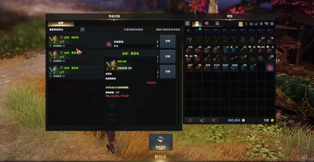 失落的方舟乌龟坐骑哪里换