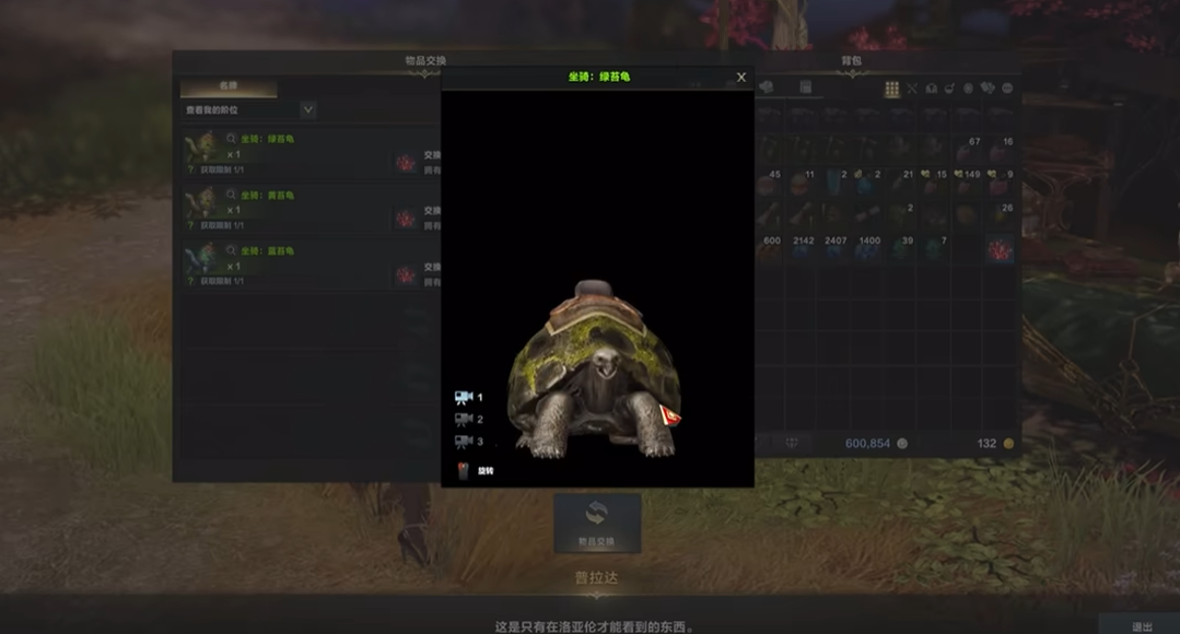 失落的方舟乌龟坐骑哪里换