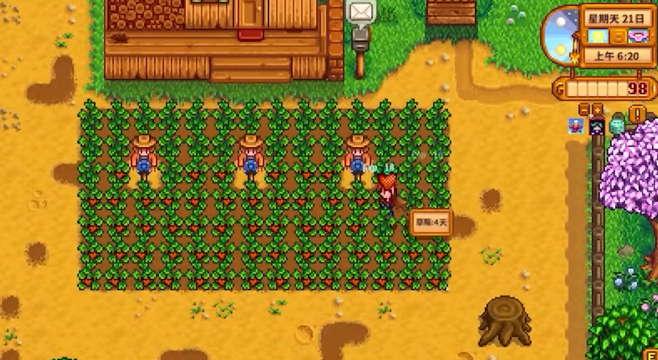 星露谷物语怎么赚钱前期