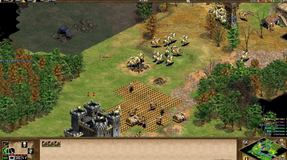 帝国时代2征服者极难攻略是什么