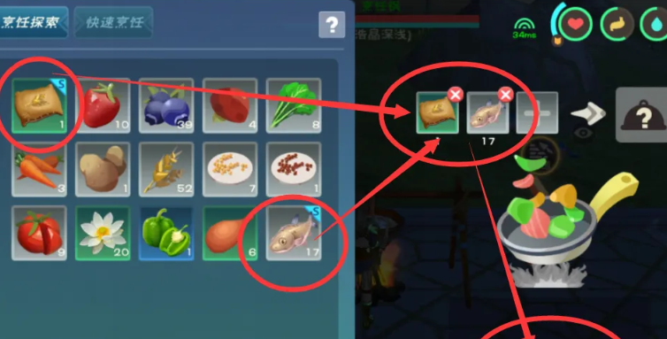 创造与魔法火龟吃什么