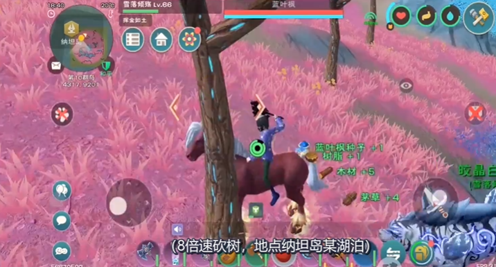 创造与魔法树脂哪里爆率高