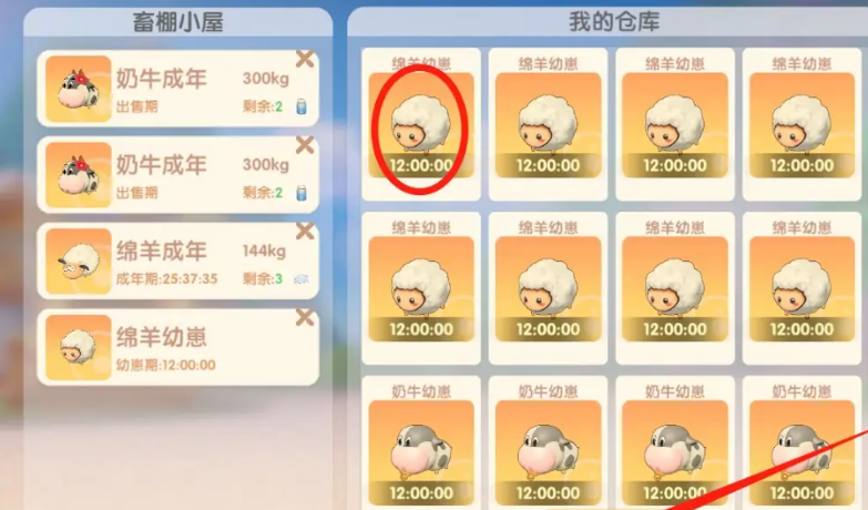 摩尔庄园羊怎么成年