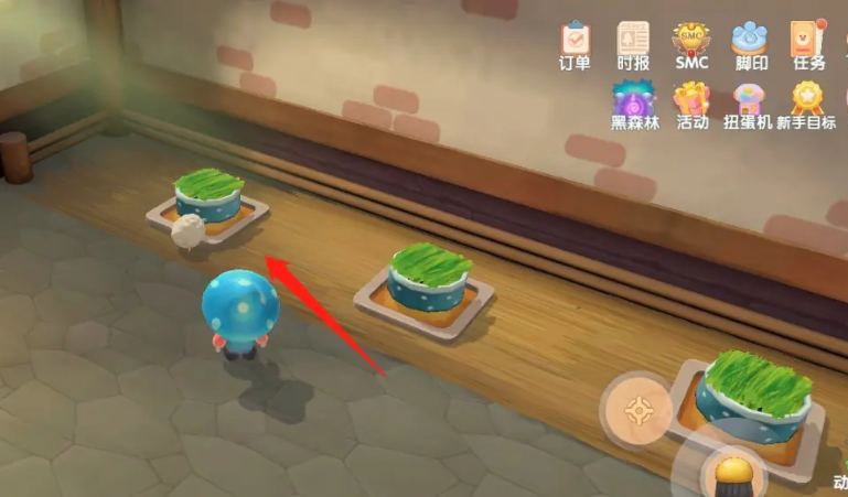 摩尔庄园羊怎么成年