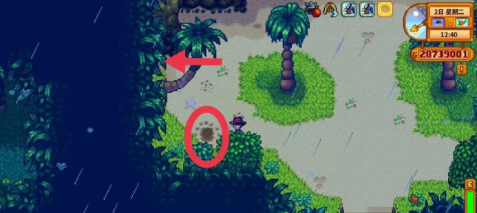 星露谷物语姜岛核桃在哪里