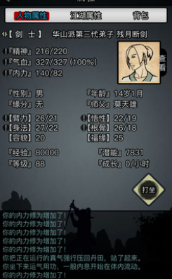 放置江湖容貌怎么提升