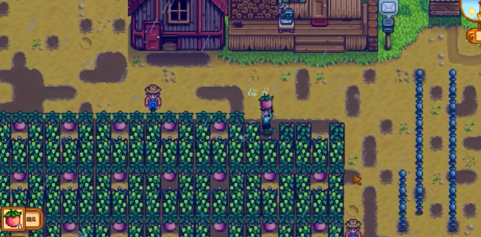 星露谷物语甜瓜怎么赚钱