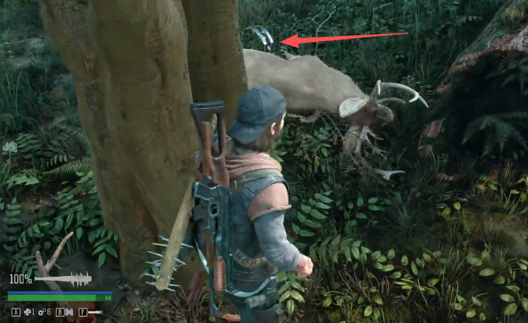 往日不再怎么挣脱捕兽夹