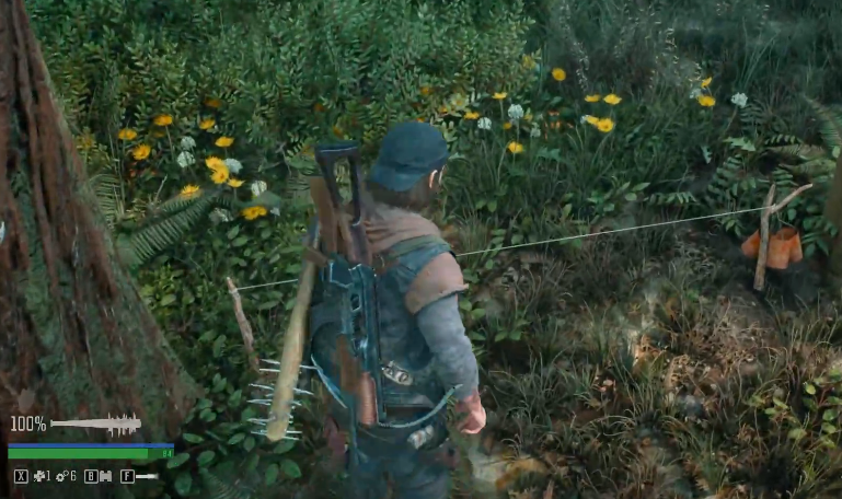 往日不再怎么挣脱捕兽夹