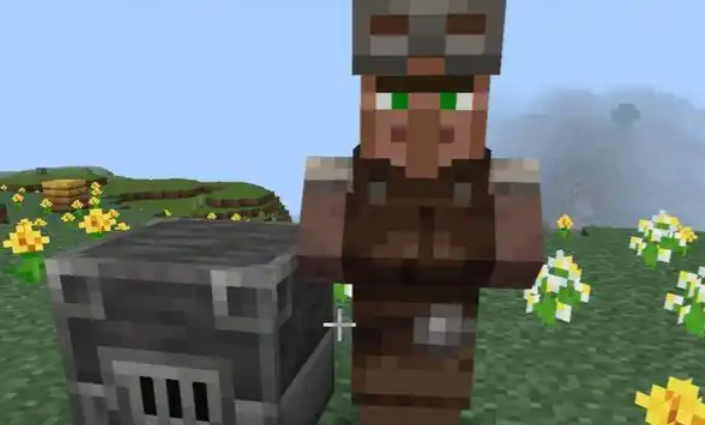 我的世界村庄里有什么东西 我的世界村庄里有什么东西