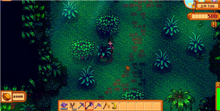 星露谷物语金核桃怎么找