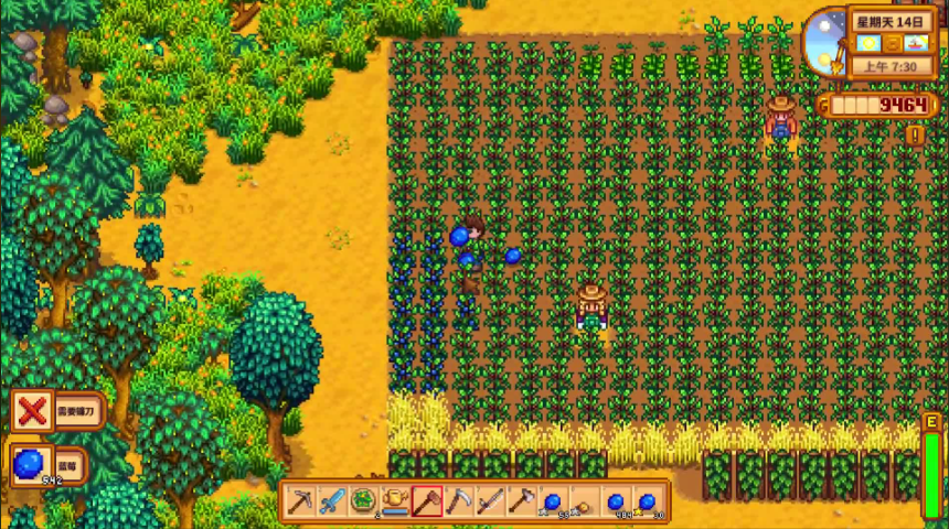 星露谷物语新手买什么种子好