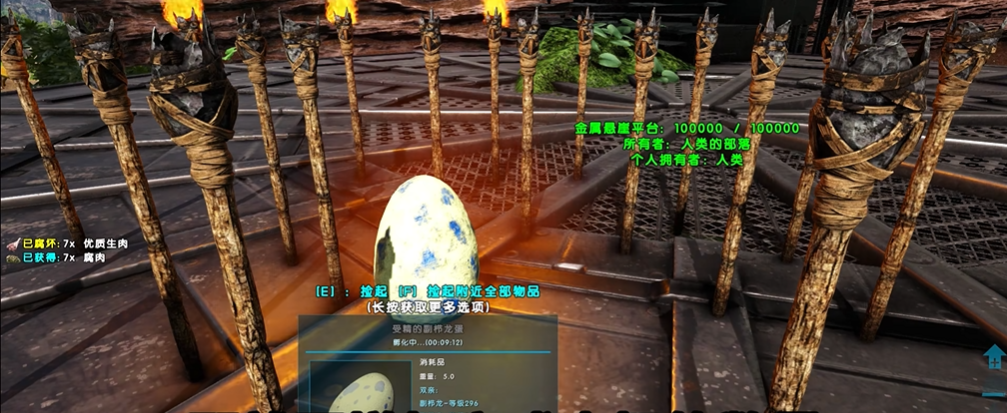 方舟生存进化中如何孵化龙蛋 方舟生存进化中如何孵化龙蛋