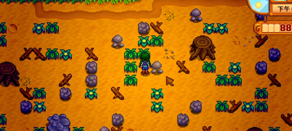 星露谷物语姜岛农舍在哪