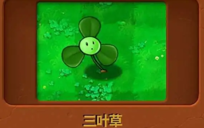 植物大战僵尸的迷雾关用什么植物 植物大战僵尸的迷雾关用什么植物