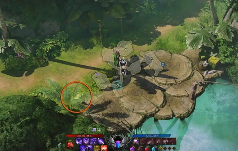 失落的方舟植物采集去哪里练